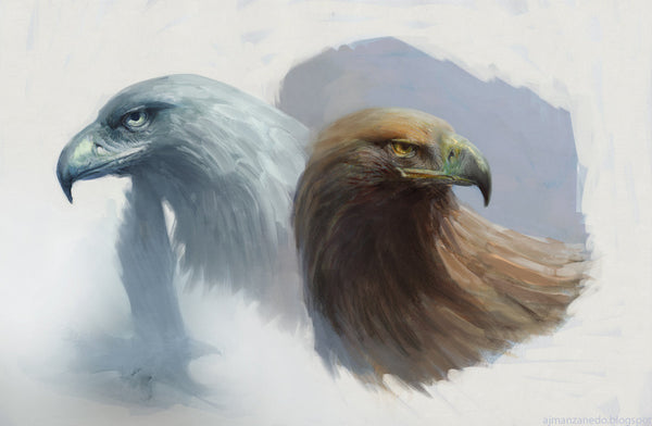 Men's Eagle Jewelry Collection