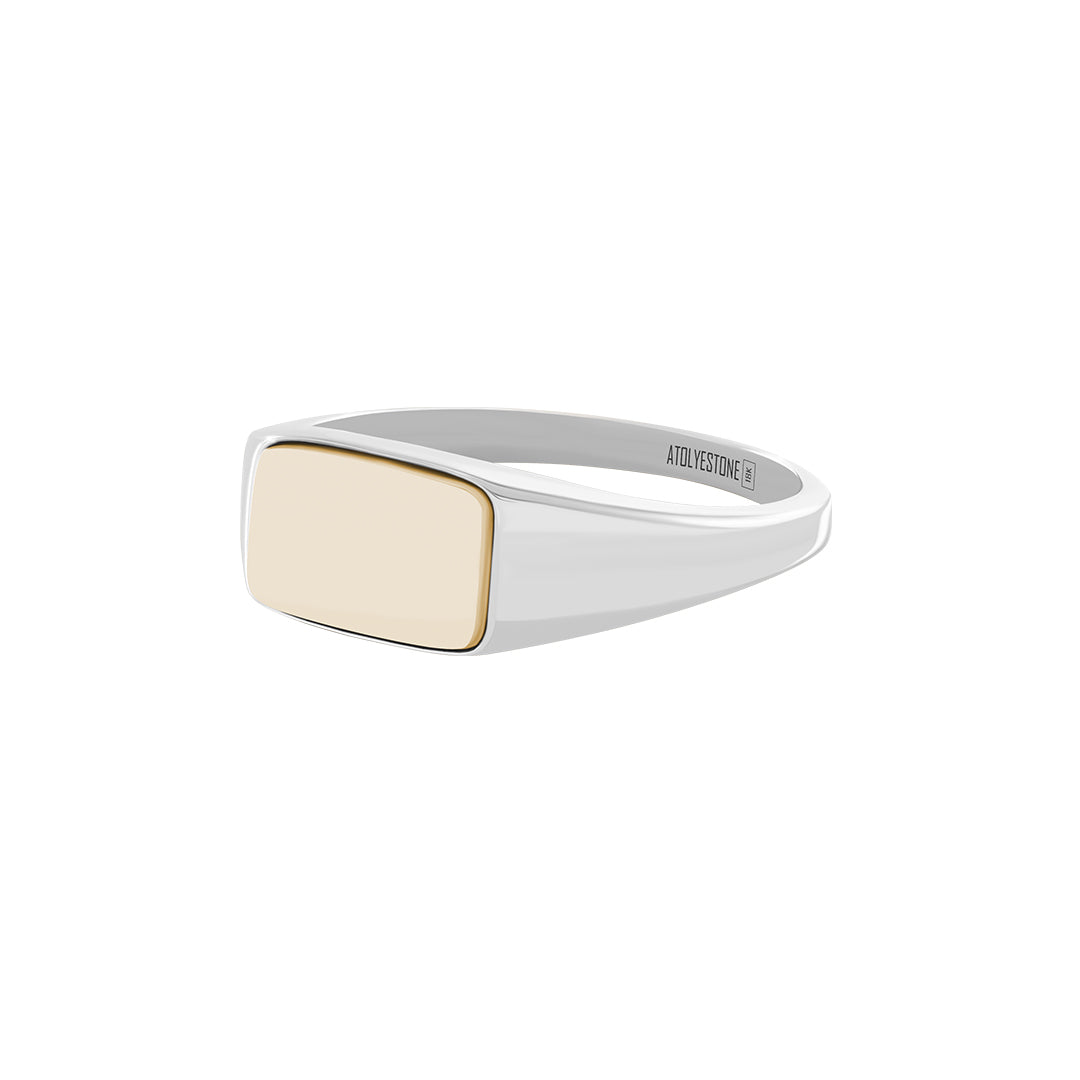 Rectangle Signet Ring with Yellow Solid Gold