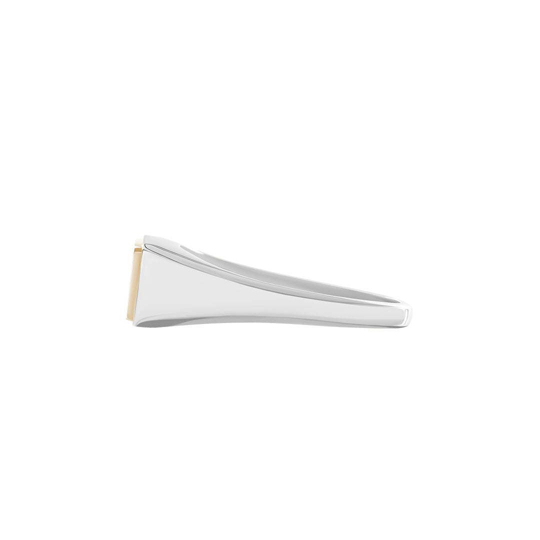 Rectangular Solid Silver Signet Ring with Yellow Solid Gold