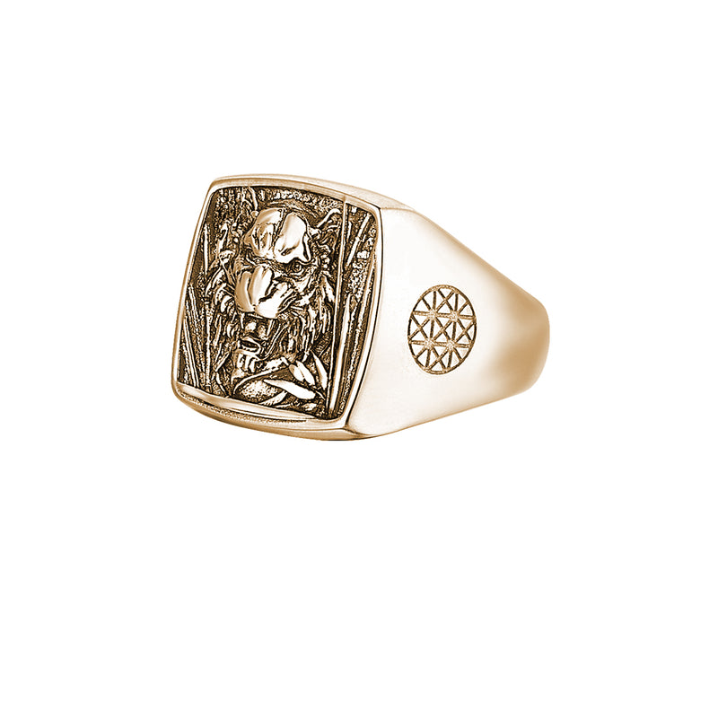 Gemstone Stacking Ring Tiger Eye - Gold – Bonito Jewelry